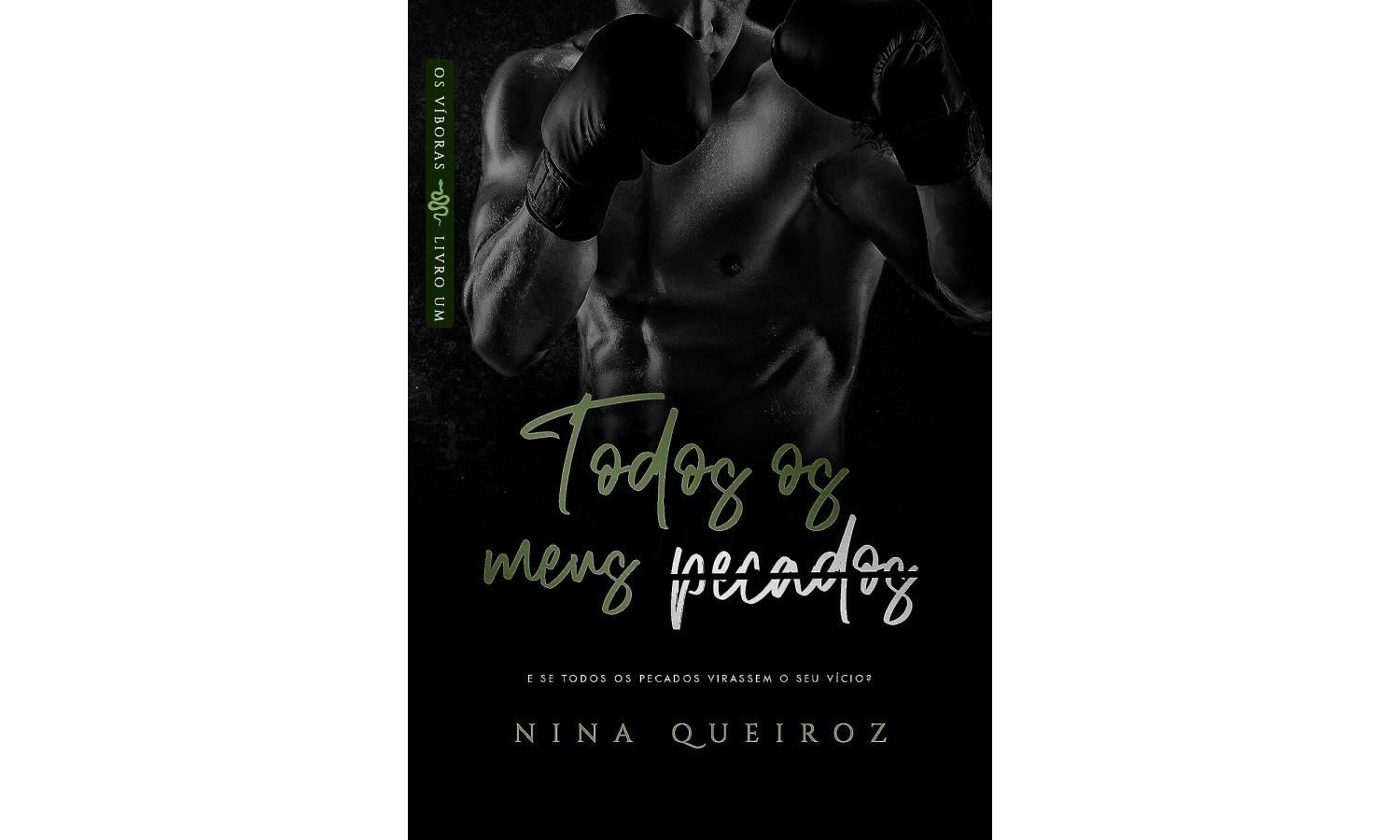 todos-os-meus-pecados-os-viboras-livro-1-de-nina-queiroz