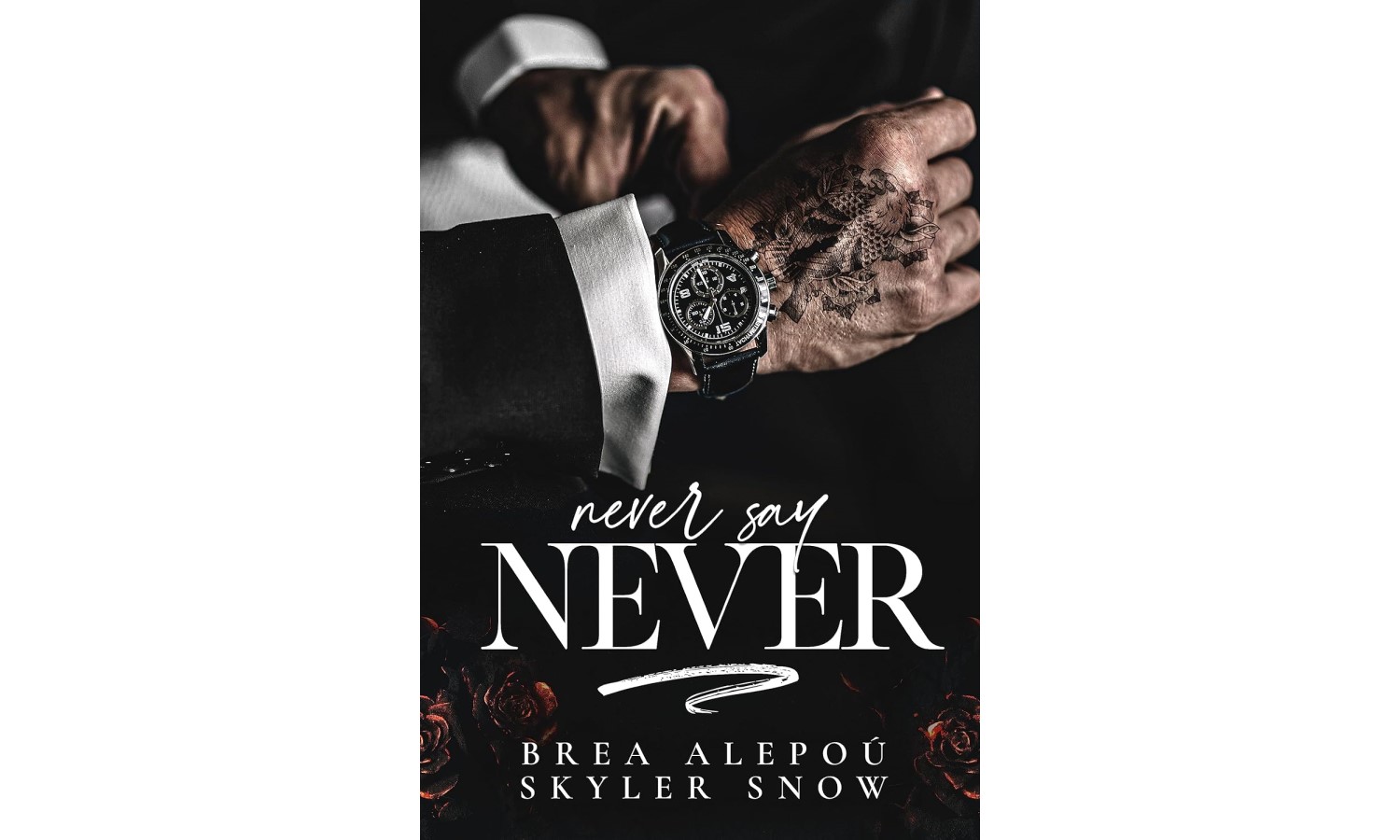 never-say-never-vitale-brothers-book-4-de-brea-alepou-e-skyler-snow