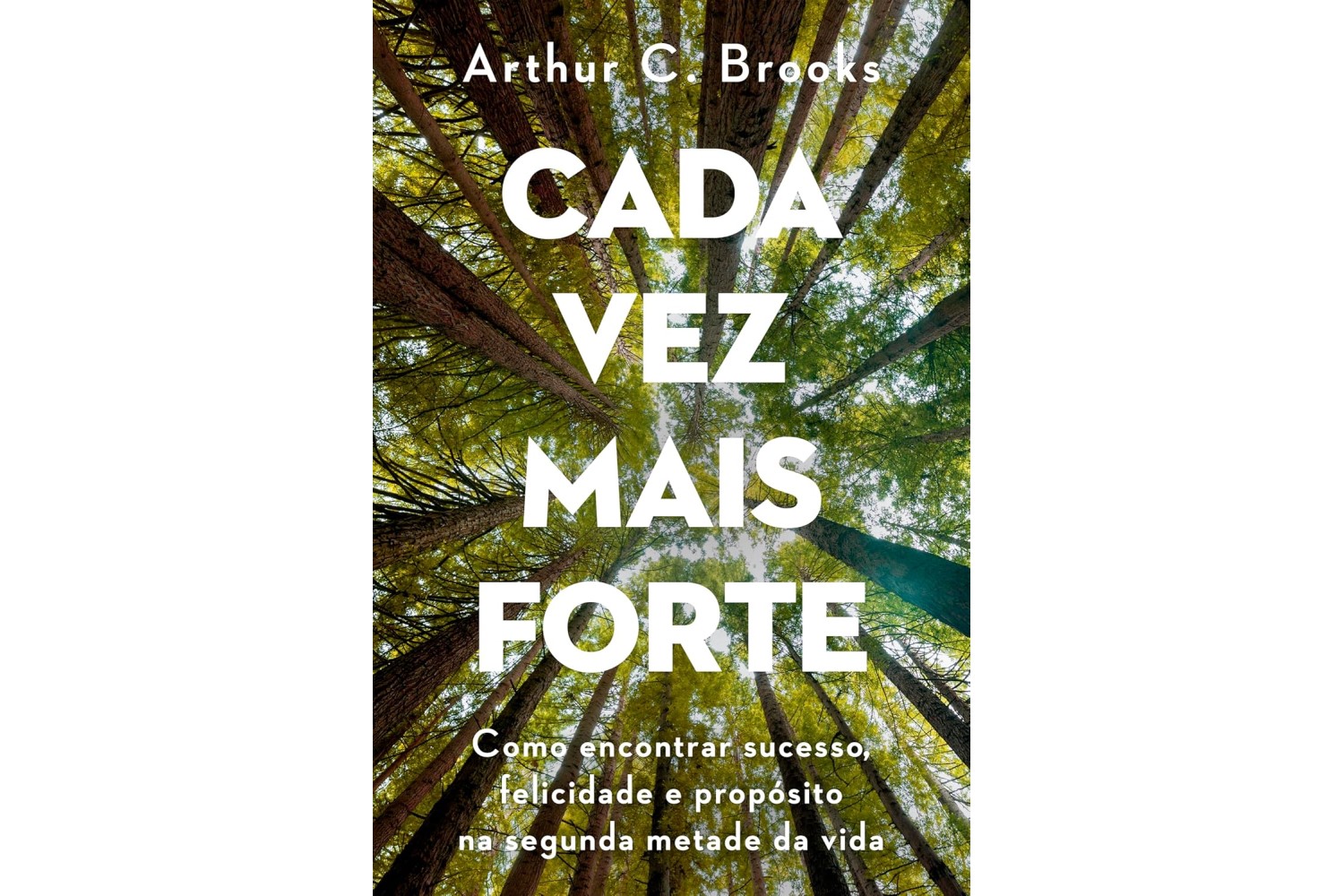 cada-vez-mais-forte-como-encontrar-sucesso-felicidade-e-proposito-na-segunda-metade-da-vida-de-arthur-c-brooks