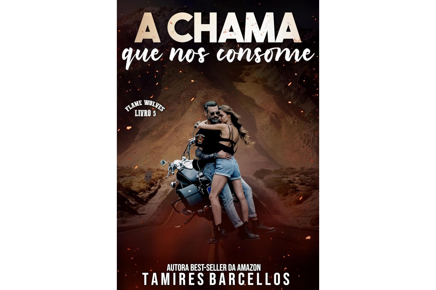 a-chama-que-nos-consome-de-tamires-barcellos-flame-wolves-livro-5