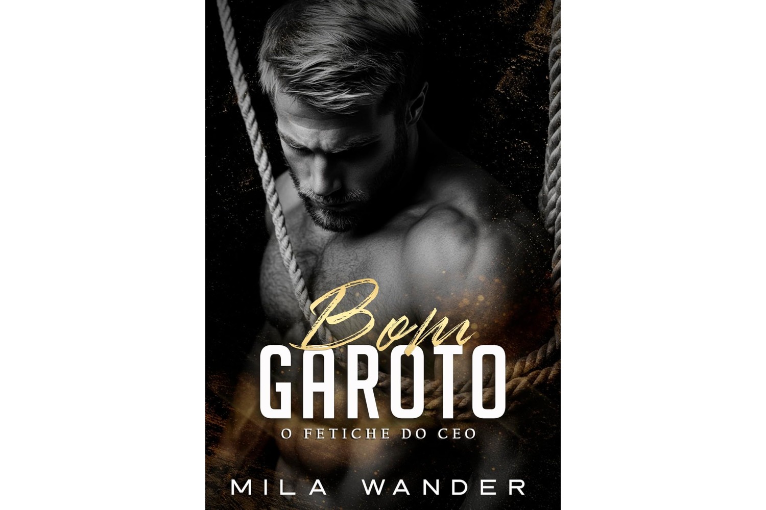 bom-garoto-o-fetiche-do-ceo-de-mila-wander