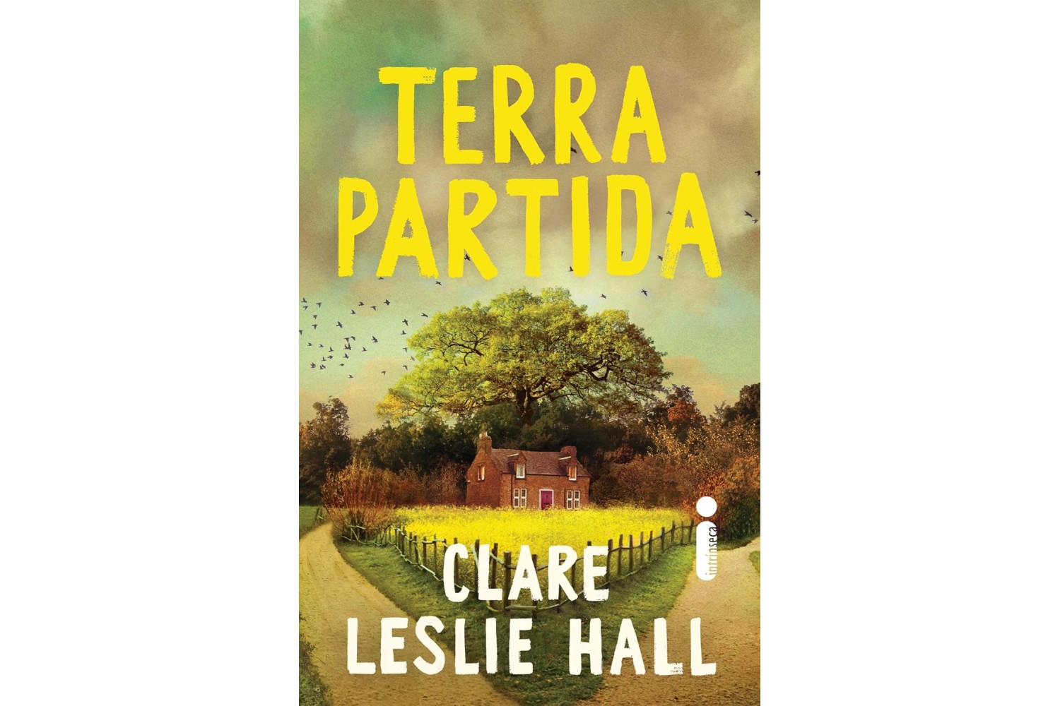 terra-partida-de-clare-leslie-hall