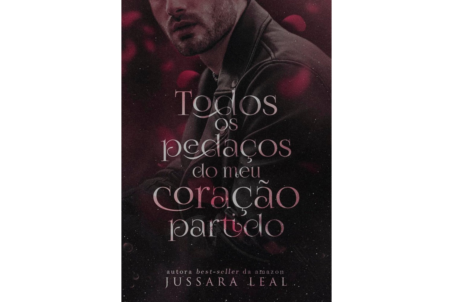todos-os-pedacos-do-meu-coracao-partido-de-jussara-leal