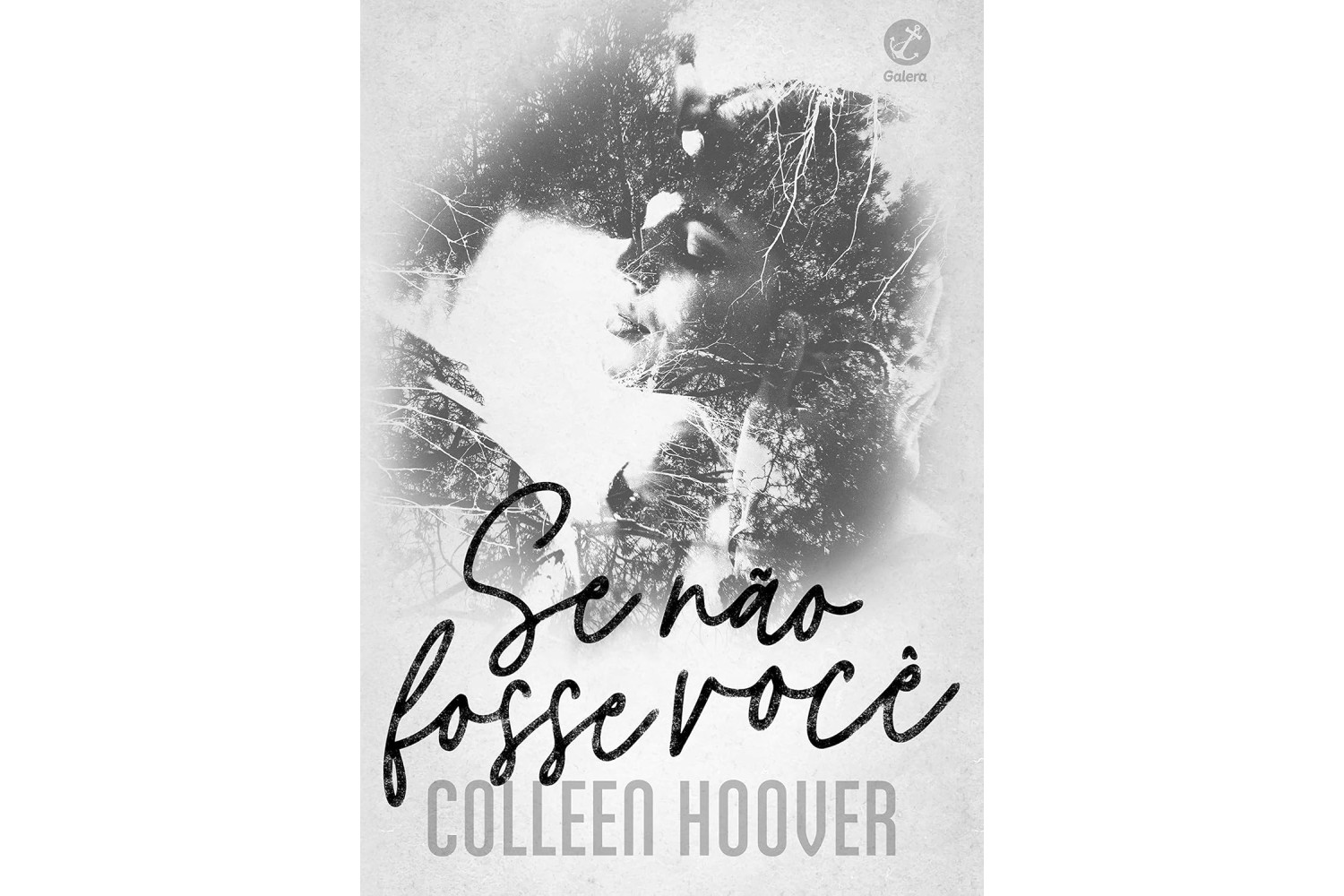 se-nao-fosse-voce-de-colleen-hoover