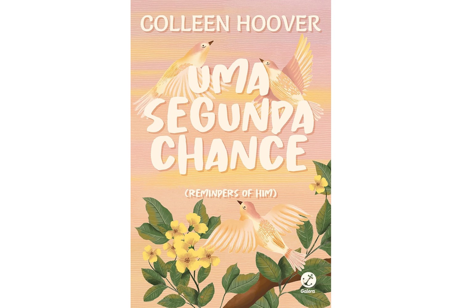 uma-segunda-chance-de-colleen-hoover