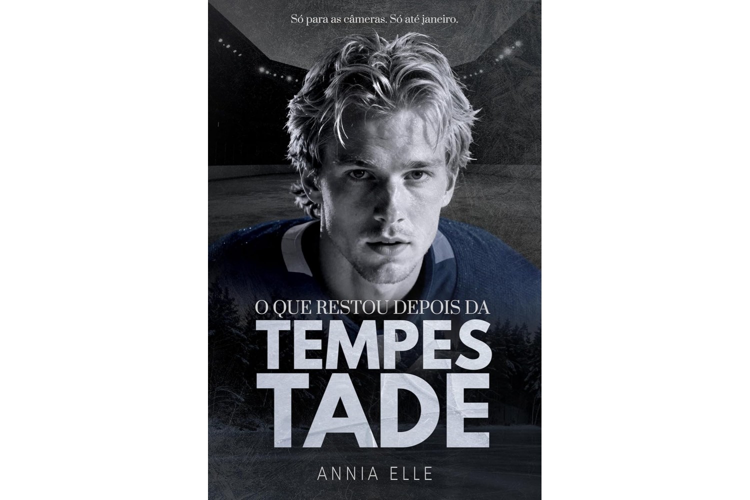 o-que-restou-depois-da-tempestade-de-annia-elle