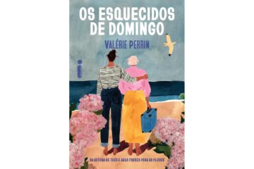 os-esquecidos-de-domingo-de-valerie-perrin