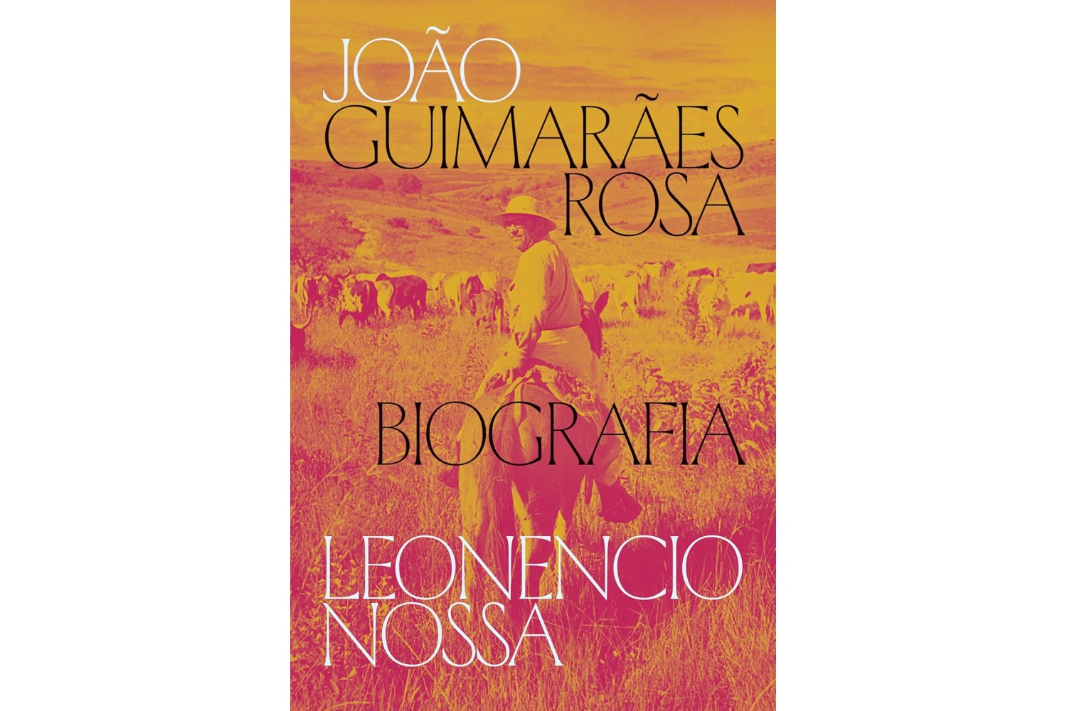 joao-guimaraes-rosa-biografia-de-leonencio-nossa