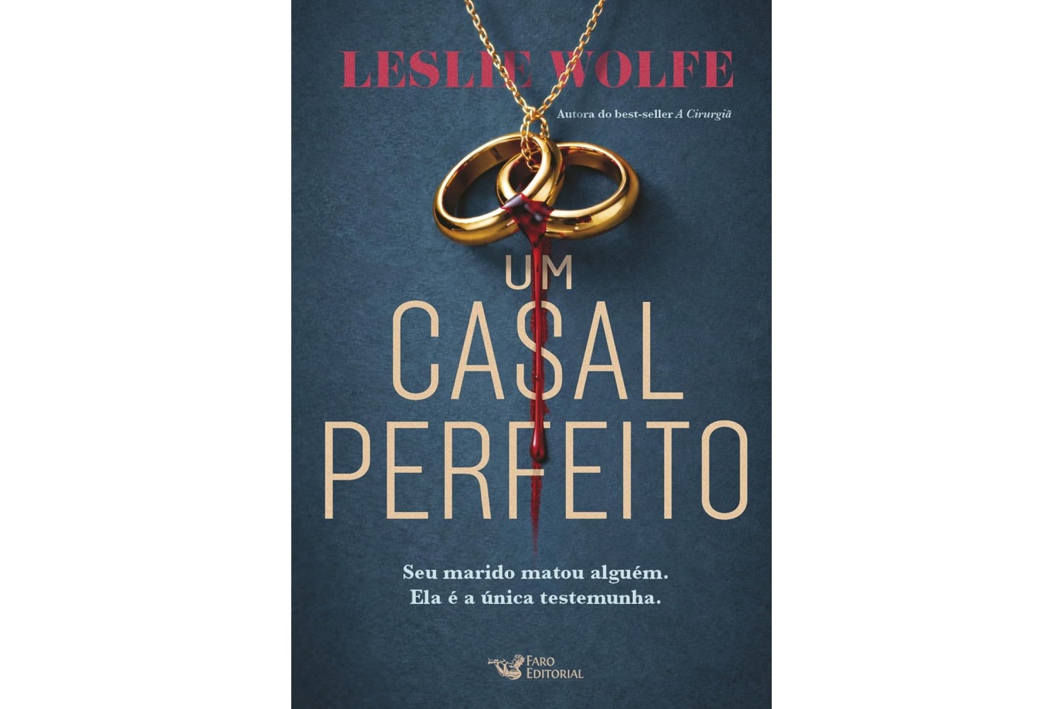 um-casal-perfeito-de-leslie-wolfe