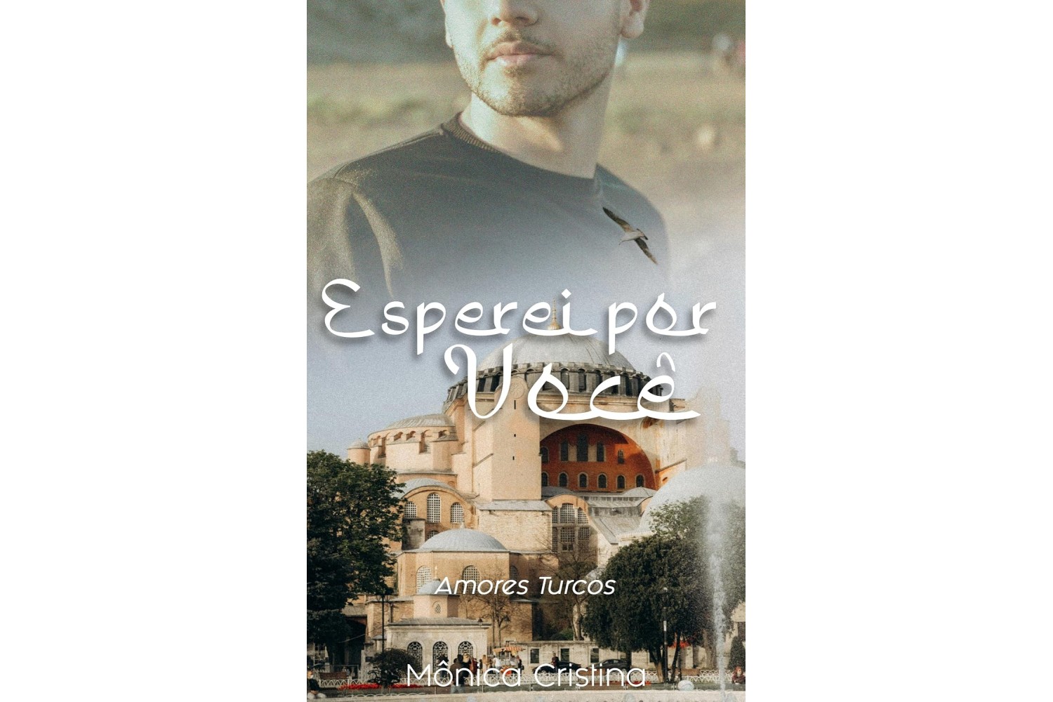 esperei-por-voce-de-monica-cristina-amores-turcos-livro-5